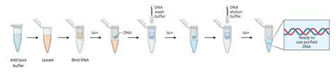 Overzichtsafbeelding: van traditionele DNA-isolatie tot single-cell en vloeibare biopsies