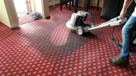 Voorbeeld van een vlekkeloos gereinigd tapijt