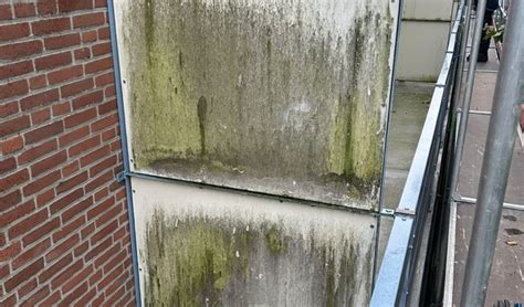 Voorbeelden van verweerde Trespa vóór en na reiniging