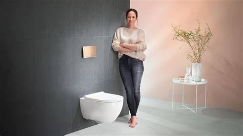 Infographic: Geberit wc-systeem componenten op elkaar afgestemd