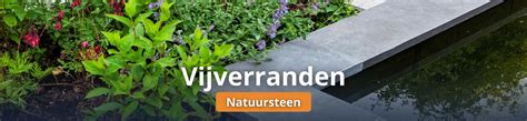 Infographic: overzicht mogelijke vijverranden en afwerking