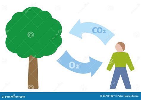 Illustratie van de menselijke CO2- en vochtproductie