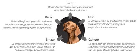 Infographic die de wisselende weersomstandigheden en hun impact op een deur illustreert.