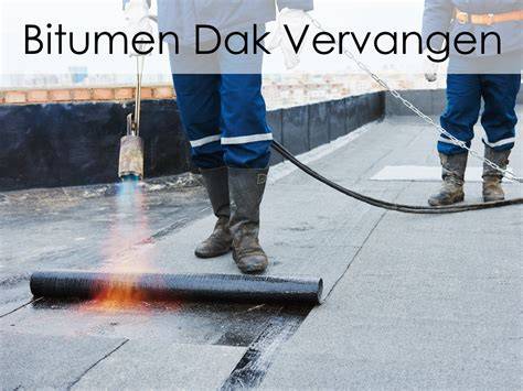 Infografiek: overzicht stappenplan dakrenovatie bitumen