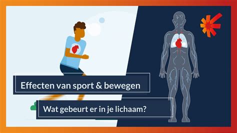 Infografiek: Wat gebeurt er met vet tijdens afvallen (vetten → CO2, H2O, energie)