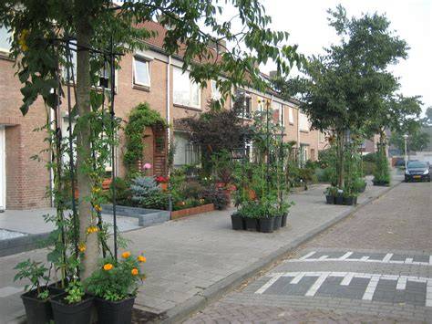 Groene bodembedekking op straat of plein, met sedummatten en borstelig groen