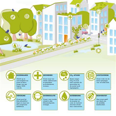 Infographic: functies van openbaar groen (luchtzuivering, waterbuffering, biodiversiteit)