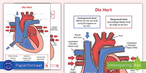 Diagram: hart-op-hartmaat meten