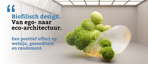 Infographic: biofilische architectuur en CLT-constructie