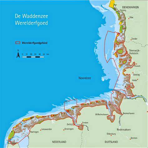 Infographic over UNESCO-werelderfgoed Waddenzee en Texel