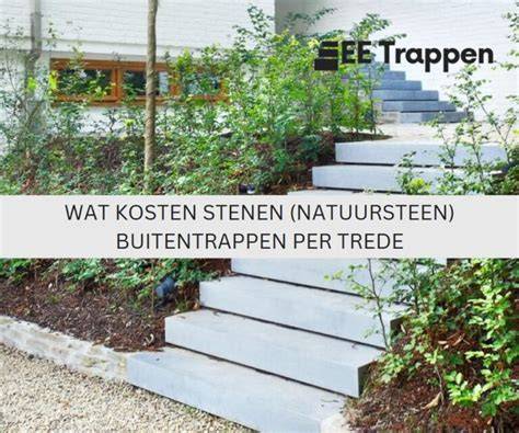 Infographic: Traprenovatie-opties en kosten per trede