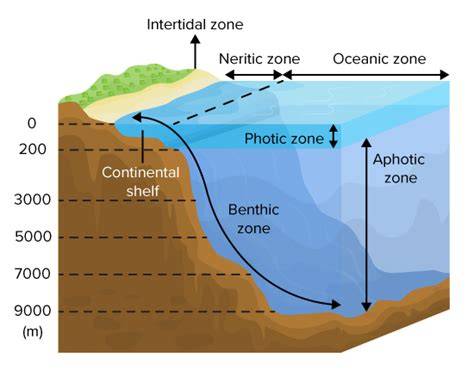 Diagram: gebiedsgerichte plintenstrategie met zones