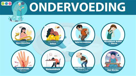 Infographic: Signalen van een gezonde vs. problematische kruipruimte