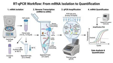 Infographic: overzicht van de multiplex qPCR-workflow (filtratie → aanrijking → DNA-extractie → multiplex qPCR)