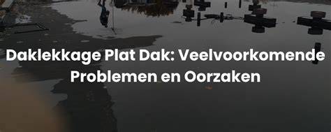 Infographic: Overzicht van plat dak onderhoudsprocessen en veelvoorkomende oorzaken van lekkage