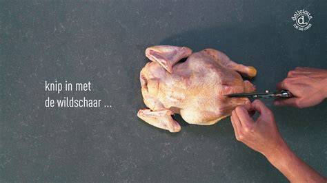 Infographic: vlinderen van kip stappen
