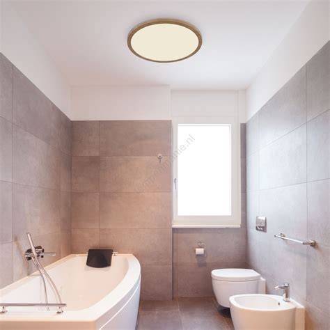 Dimbare badkamerverlichting met IP44 IP65 opties
