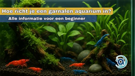 Diagram: Drukverdeling bij een aquarium op verschillende ondergronden