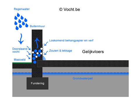Illustratie van het proces van doorslaand vocht in een muur