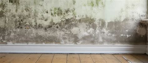 Schema met verschillende oorzaken van vocht in de muur: lekkende leidingen, daklekkage, doorslaand vocht, optrekkend vocht en condensatie.