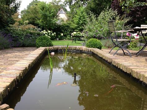 artistieke impressie van een rustige tuin met een aangelegde vijver