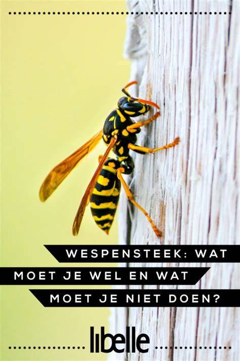 Diagram: preventieve maatregelen tegen wespennesten