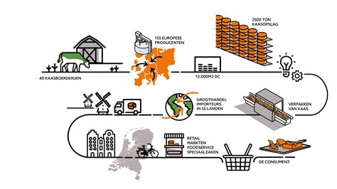 Visuele weergave van het productieproces van een cementtegel, van mal tot eindproduct.