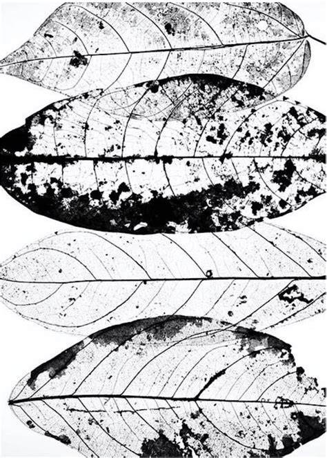 Voordelige voorbeelden: rustige prints en botanische ontwerpen