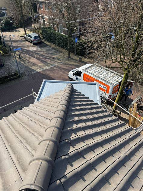 Infographic: Overzicht van dak-renovatie en onderhoudsdiensten