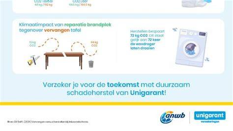 Kostenoverzicht toiletafvoer vervangen infographic