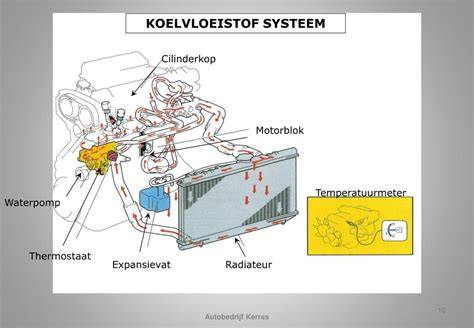 Infographic: overzicht van koelsysteemonderdelen (radiorator, waterpomp, thermostaat, expansievat, slangen)