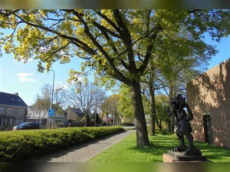 Afbeelding van deurluifelexpert in Amstelveen