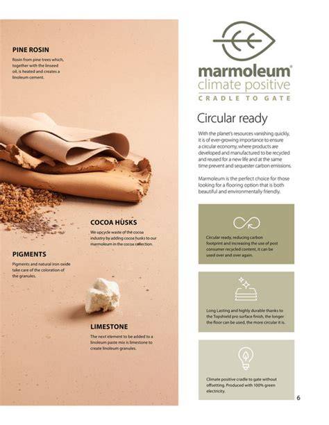 Infographic: cradle-to-gate klimaatpositiviteit Marmoleum