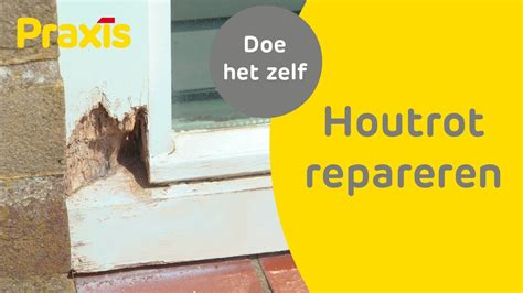 Infographic: stappenplan voor houtrot reparatie met bekisting