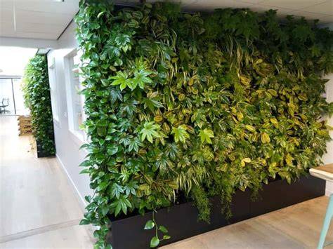 Groene wand en hangende planten infographic