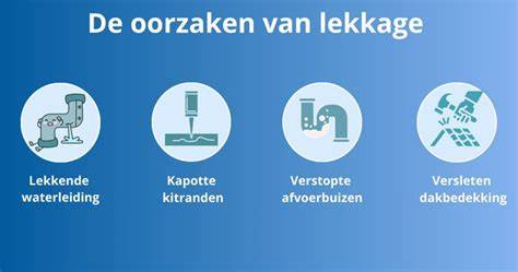 Infographic: Oorzaken van sifon lekkage en stappenplan voor snelle controle