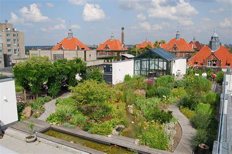 Foto: Voorbeelden van extensieve en intensieve groene daken