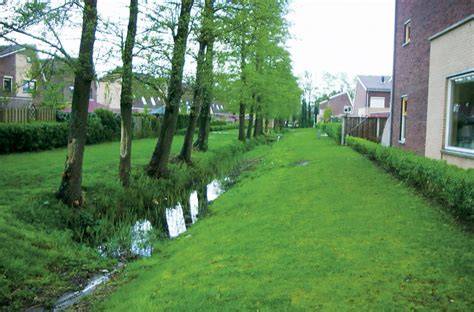 Decoratieve bioswale in een stedelijke omgeving