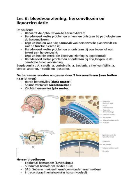 Infographic: Overzicht liquorcirculatie en hydrocefalie