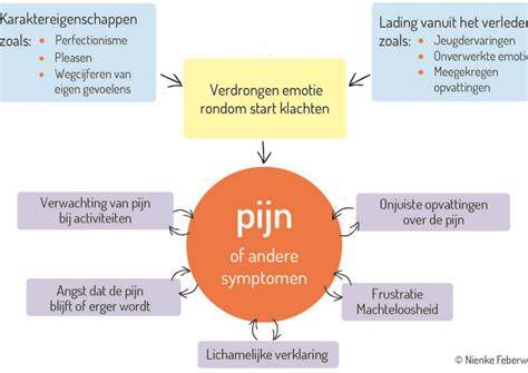 Schema: maalgraden en hun invloed op extractie