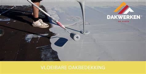 Infographic: Overzicht van vloeibare dakbedekkingen (materialen, laagdikte, uithardingstijden)