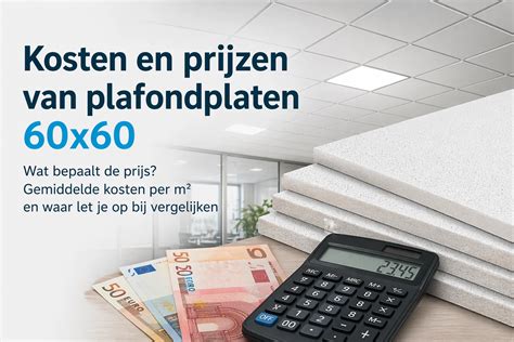 Infographic: typische kosten en materialen voor tuinbestrating per m2