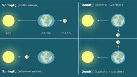Diagram van springtij en doodtij met maanstanden