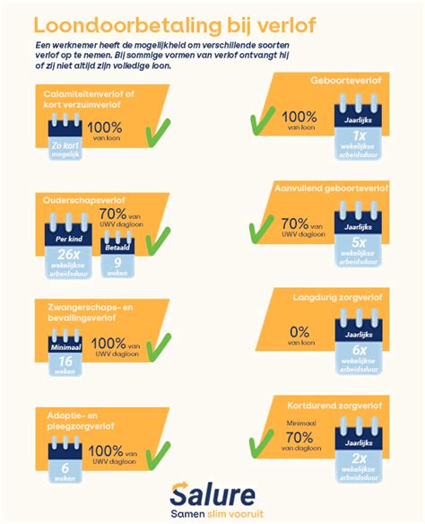 Infographic die verschillende soorten voegmaterialen voor bestrating vergelijkt.