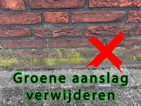 Infographic over milieuverantwoord mos en groene aanslag verwijderen