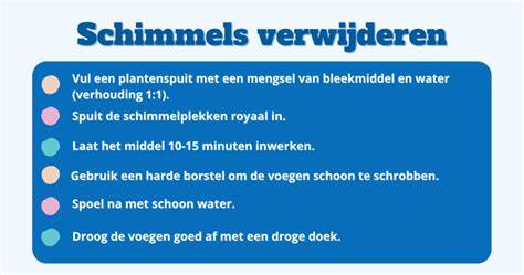 Diagram: Stappenplan schimmel verwijderen
