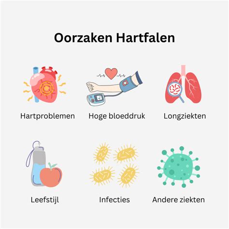 Infografiek: Oorzaken en oplossingsrichtingen bij schimmelproblemen