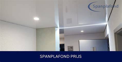 Infografiek: overzicht spanplafond opties en materiaalkeuzes