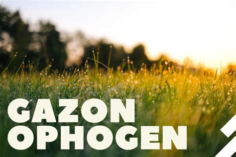 infographic_grond_ophogen_tips