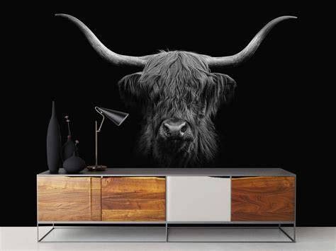 Schotse hooglanders fotobehang in zwart-wit aan eetkamermuur